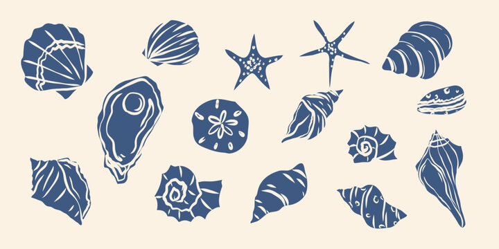 Flat vector blue seashells and starfish illustrations