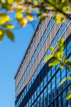 Green leaves frame modern building facade and blue sky with copy space minimal urban exterior architecture glass reflection for eco business theme
