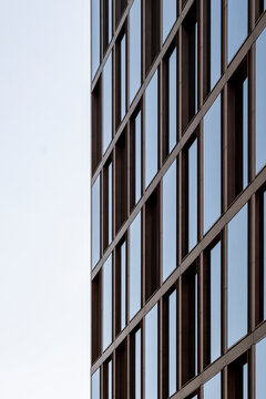 Vertical window grid on modern building facade beside pale sky with copy space minimal urban exterior architecture pattern detail background
