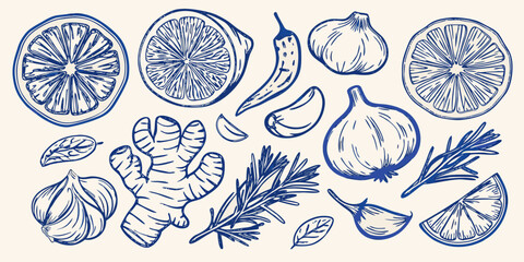 blue illustration of various culinary ingredients including citrus fruits and herbs © Raben