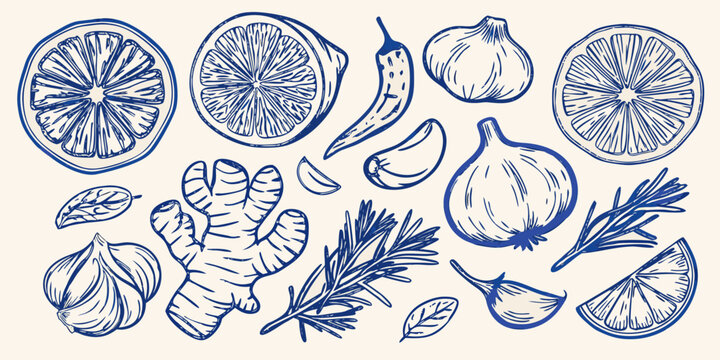 blue illustration of various culinary ingredients including citrus fruits and herbs