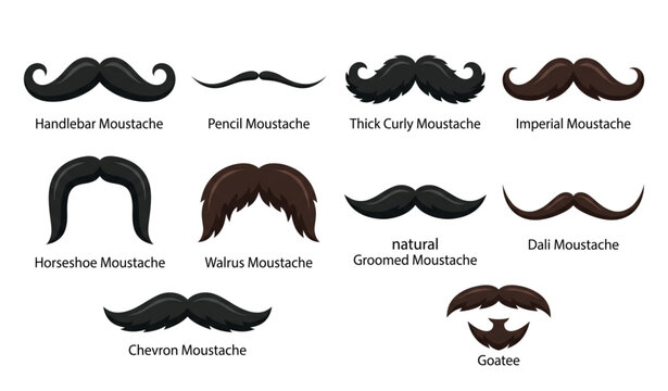 Moustache styles and types for men