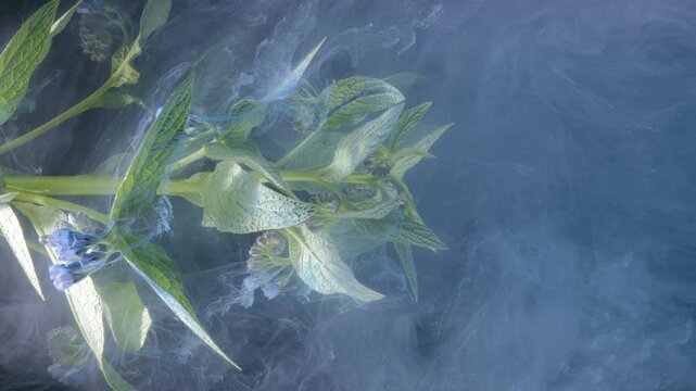 Foliage submerged in blue haze, stems and unopened buds float through milky atmosphere, soft currents create layered silhouettes and dreamy diffusion,
