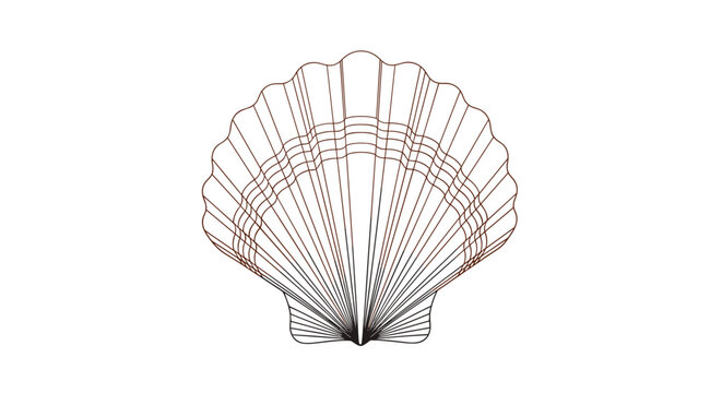 Elegant and detailed line art illustration of a single seashell or scallop shell isolated on a plain white background.