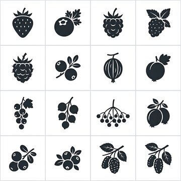 Black icons of various berries.