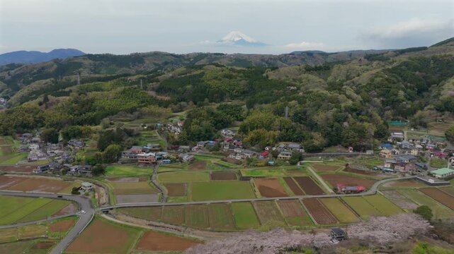 Aerial backward rising drone shot of patchwork rice fields with cherry blossoms and Mount Fuji, spring rural landscape in Izu Japan