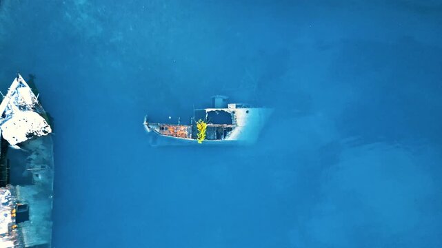 Aerial view of a rusted shipwreck submerged in clear blue water with a small green plant growing from the deck in Sandy Bay, Bay Islands Department, Honduras.