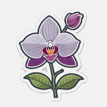 Stylized Orchid Flower Illustration