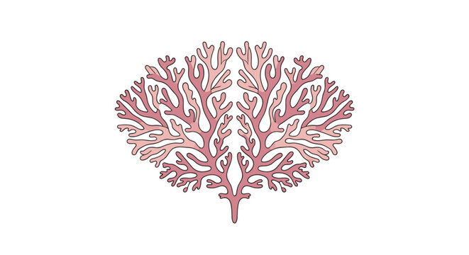Beautiful pink coral reef illustration with intricate branching patterns against a solid white background.