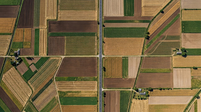 Aerial view of agricultural fields and rural road intersection. Geometric farmland patterns in summer