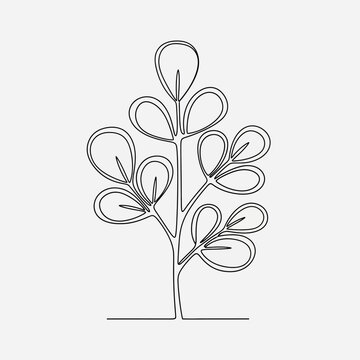 Minimalist single line drawing of a moringa tree branch with leaves, isolated on white.