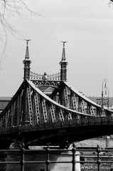 Naklejka premium Liberty Bridge in Budapest, Hungary