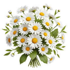 Fototapeta premium Large bouquet of white daisies with yellow centers and green leaves isolated on transparent background, garden flowers.