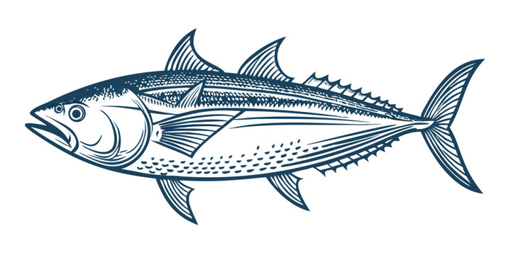 blue tuna fish illustration on black background