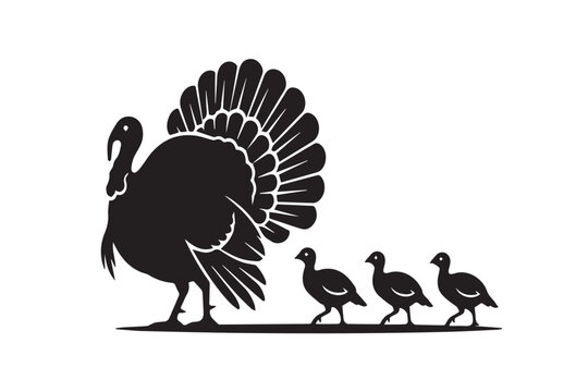 turkey with his litte child walking