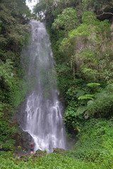 Obraz premium beautiful waterfall with trees and coral. water flows over dark, rugged stones, rocks creating staircase effect. The scene is serene natural landscape.