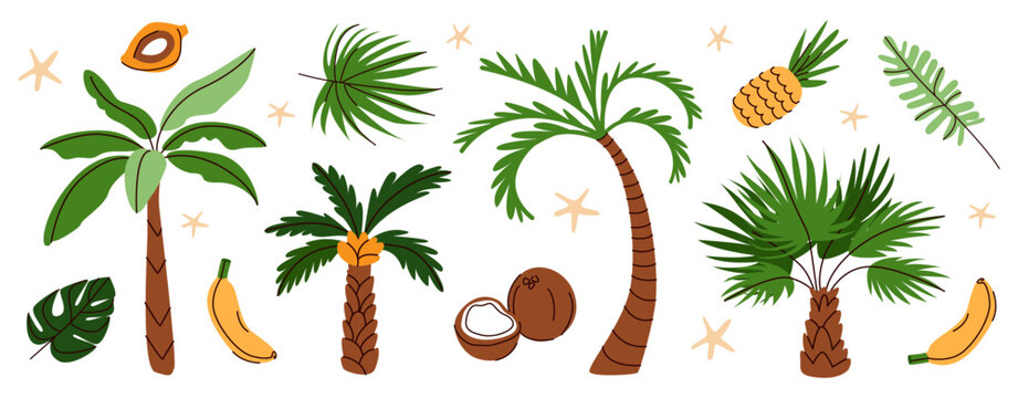 Tropical plants set. Summer flat vector illustration with palm trees, banana, pineapple, coconut, leaves  isolated on white background