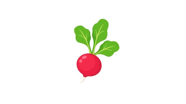 Red radish with green leaves stands out on white background. Its bright color signals freshness and health. Simple design suits kitchen, meal prep, or recipe visuals. Crisp leaves suggest natural
