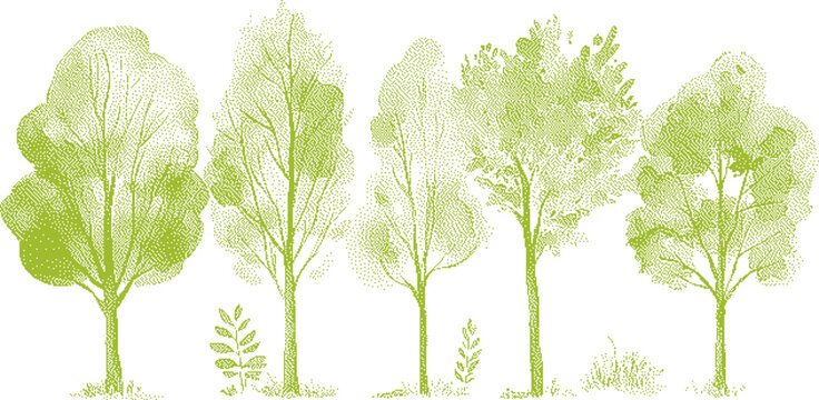 Green watercolor trees in a row with delicate branches and sparse foliage against a white background