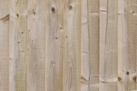 wood plank texture