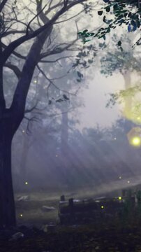 Lone trees stand in a foggy forest as light spots float in the background. The scene takes place at dusk with soft light breaking through the mist.