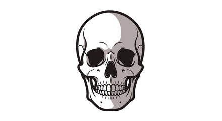 Human Skull Illustration Closeup View. © Barokah