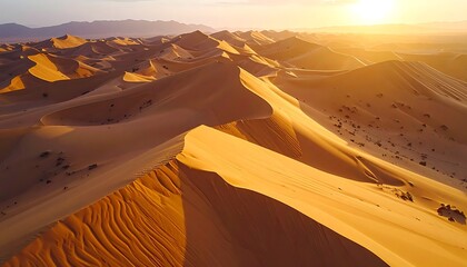 Fototapeta premium Golden desert sand dunes at sunset.