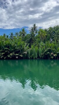 Bohol Philippines, vertical 4K video of a serene scene of the calm rippling water of the Loboc River surrounded by lush greenery outdoor at daytime during a holiday on Bolhol Island in Asia.