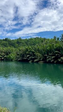 Bohol Philippines, vertical 4K video of a serene scene of the calm rippling water of the Loboc River surrounded by lush greenery outdoor at daytime during a holiday on Bolhol Island in Asia.