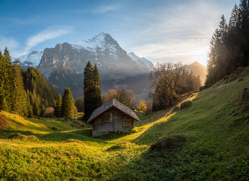 Autumn mountain scenery in the Swiss Alps with rustic mountain hut in Grindelwald, Switzerland