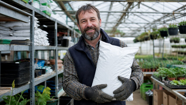 A cheerful male farmer holds a bag of unlabeled fertilizer in a greenhouse. A professional farmer tends to vegetables, applying mineral fertilizers. Concept of an NPK soil amendment.