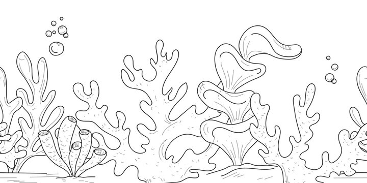 Coral and anemone twigs, polyps and algae, hand-drawn sketches. Vector illustration. Seamless horizontal coral ocean floor border, isolated on a white background, ocean day