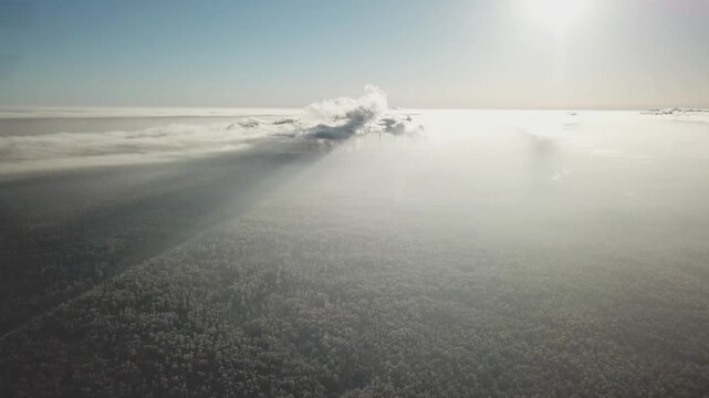 Drone flying sideways above winter forest