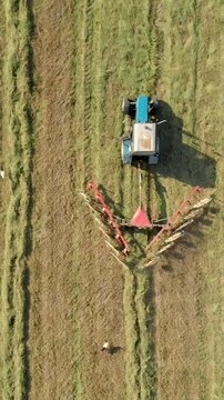 Aerial drone shot of agricultural machinery working on a field. Blue tractor uses rotary rake to spread cut grass under sunlight, with white storks walking nearby in rural landscape