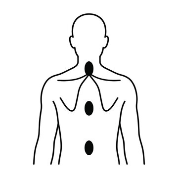 Human body outline with highlighted solar plexus, throat and heart chakras for spirituality and wellness concept