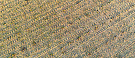 Fototapeta premium Diagonal top down aerial of a bare agricultural dirt field prepared for new planting