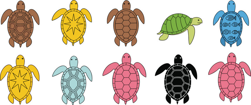 Colorful sea turtle collection with top and side views, decorative shell patterns in bright flat vector illustration set for marine design