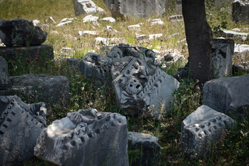 Obraz premium Ruins of the ancient city of Perge, Turkey 