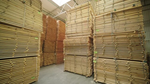A large industrial warehouse featuring a forklift operating among stacks of dried wooden planks prepared for further furniture or flooring production