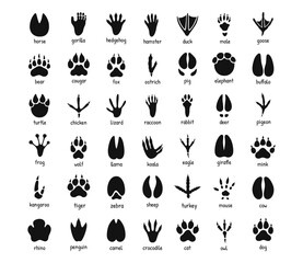 Fototapeta premium Animal footprints chart with black paw tracks and hoof silhouettes, labeled wildlife and farm animal track guide, vector illustration isolated on white background