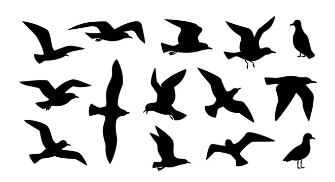 Seagull silhouettes vector illustration with black flying gull birds, coastal seabird flock clipart for ocean beach, marine wildlife, nautical sticker design