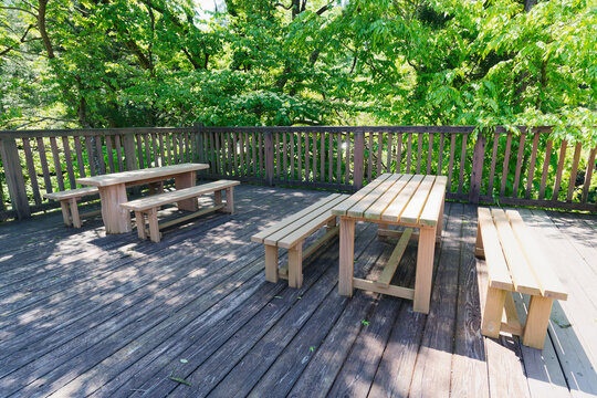 Wooden Terrace with Picnic Tables and Benches Surrounded by Fresh Green Trees