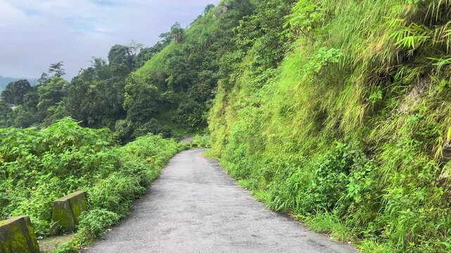 This road winds its way between a mountain on one side and a ravine on the other.
