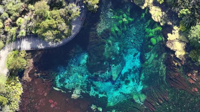 A detailed aerial top-down view of a vibrant natural spring system on the North Island, NZ, capturing the organic textures and swirling patterns of water and silt.
