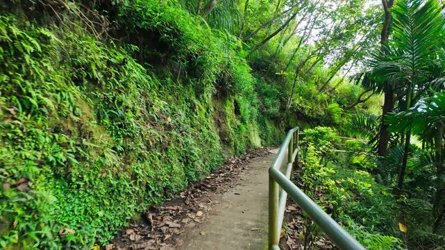 POV walking along narrow jungle path Batad Rice Terraces Philippines, railing