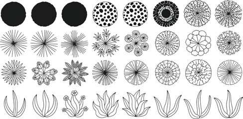 Fototapeta premium Abstract geometric flower and plant patterns Vector