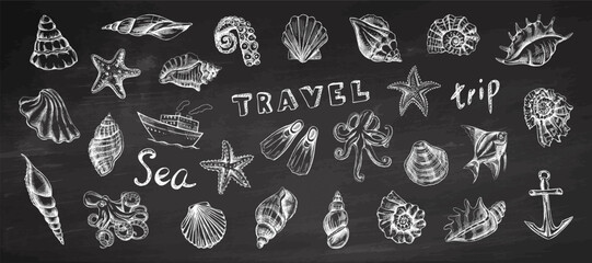 Hand drawn vintage sea travel chalkboard collection with shells octopus anchor and nautical engraved vector illustration set © Mariia Mazaeva