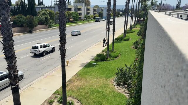 High angle view of busy street with vehicles driving and person walking dog on side path. Lush green median and palm trees line the road under clear sky. Suburban area day light.