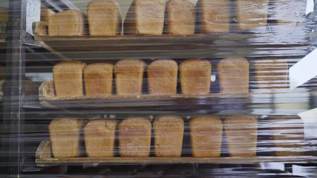 Fresh Bread Loaves On Shelves At Bakery
