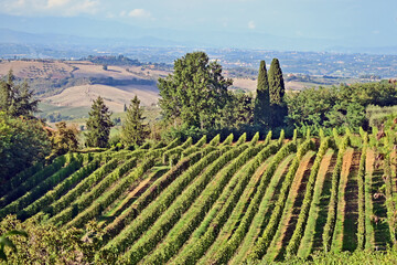Naklejka premium Montepulciano, veduta della valle dalla Chiesa o Santuario della Madonna di San Biagio, Val d'Orcia, Toscana